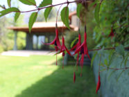 {{brizy_dc_image_alt imageSrc=